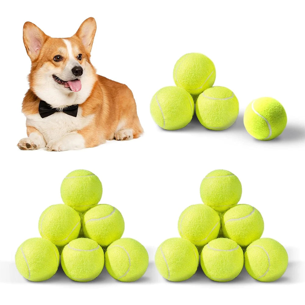 Elastic Dog Tennis Balls