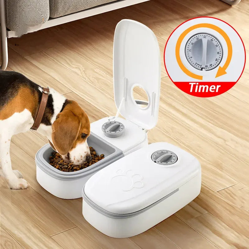 Automatic Timed Pet Feeding Bowl