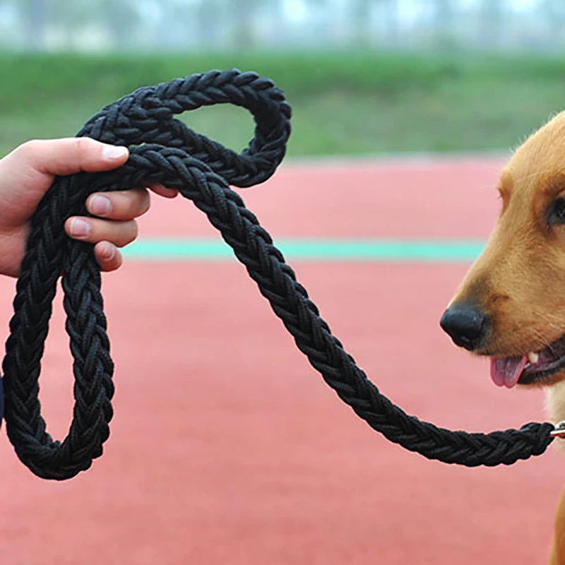 Heavy Duty Nylon Braided Dog Leash