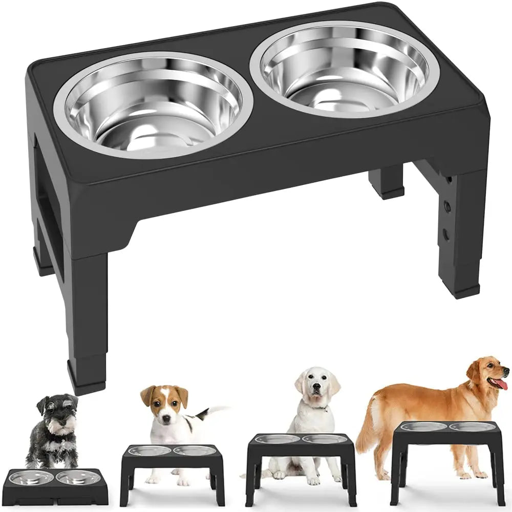 Adjustable Elevated Double Bowl Feeder