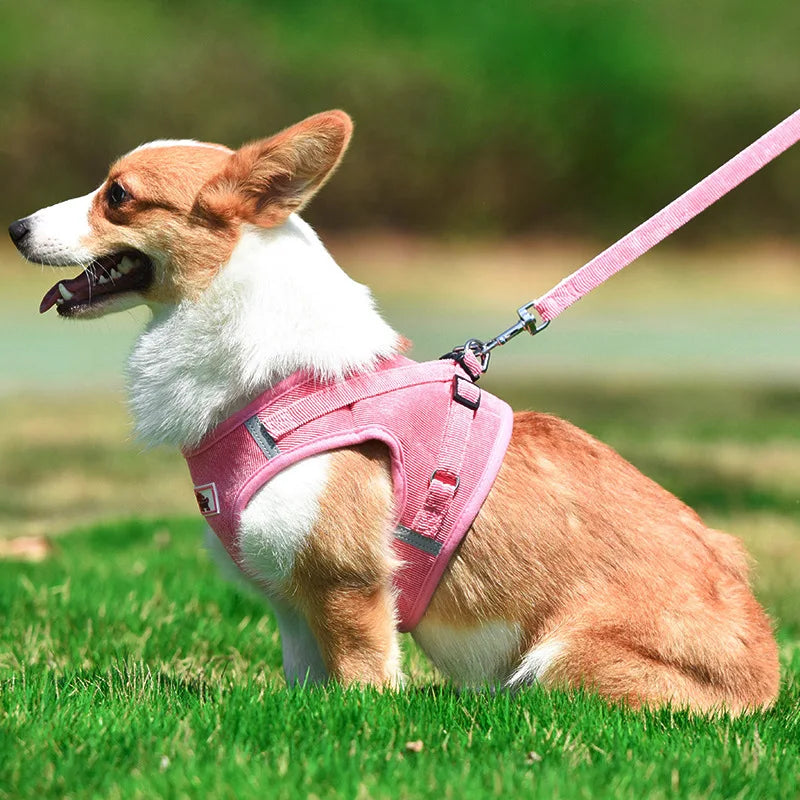 Reflective Corduroy Dog Harness Set