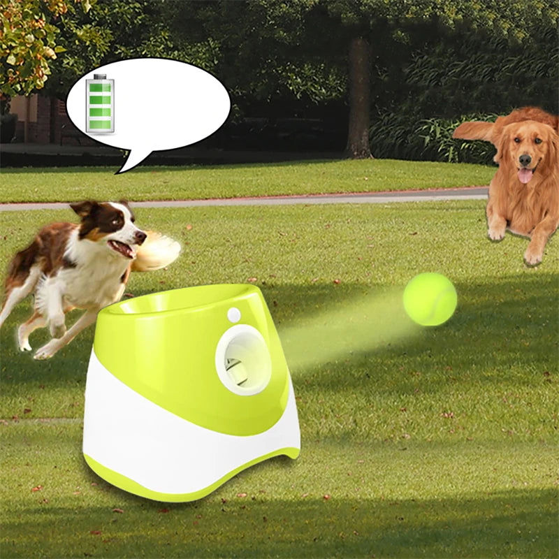 Automatic Dog Tennis Launcher
